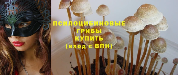 стафф Арсеньев