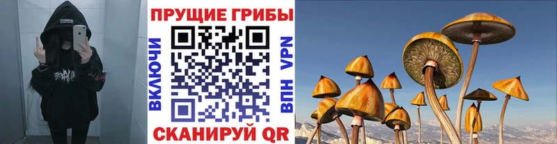 Псилоцибиновые грибы Magic Shrooms  Старая Купавна 